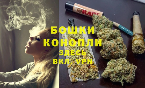 ПСИЛОЦИБИНОВЫЕ ГРИБЫ Пестово
