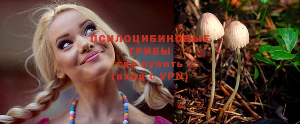 винт Алзамай