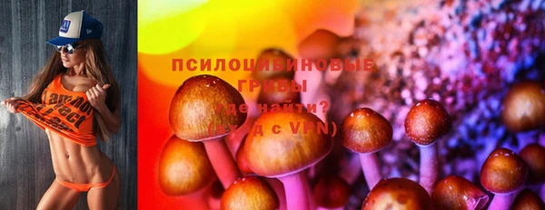 марки lsd Абаза